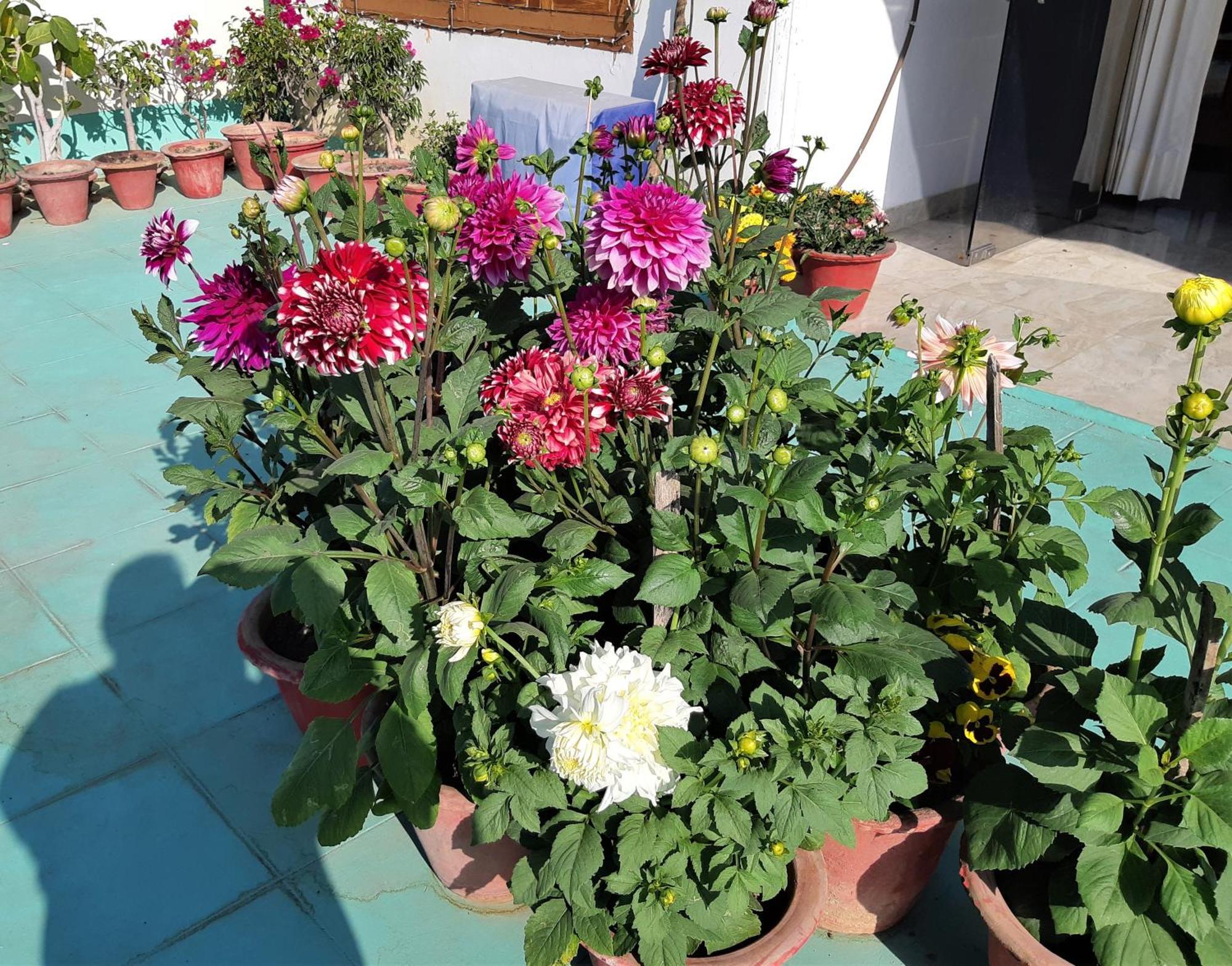 Fully Furnished Ish, Atithya Homestay With Various Amenities And Free Services In Lucknow, India Экстерьер фото