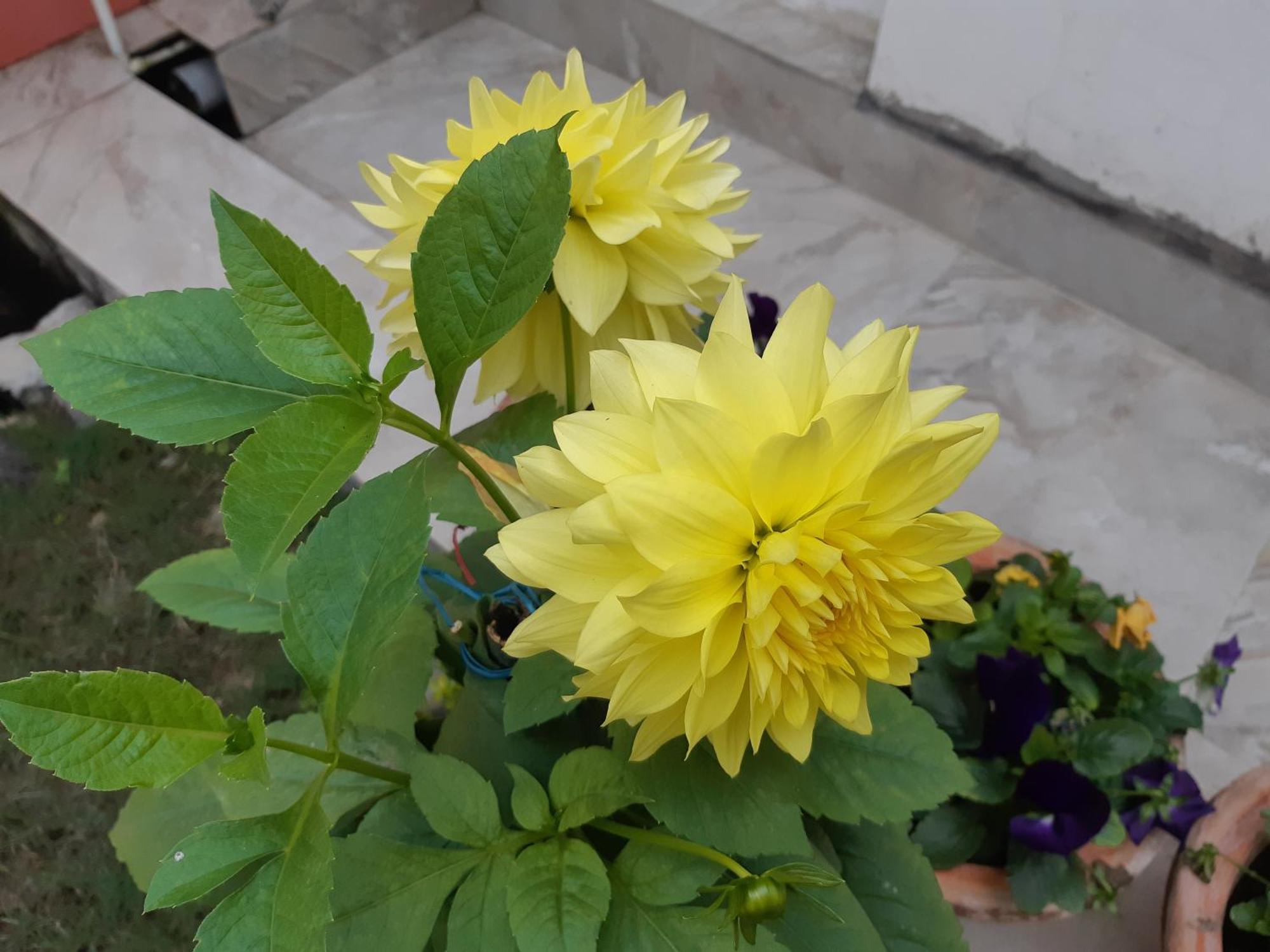 Fully Furnished Ish, Atithya Homestay With Various Amenities And Free Services In Lucknow, India Экстерьер фото